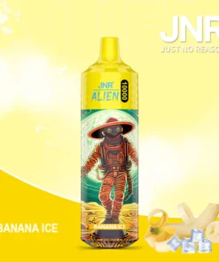 JNR Alien 10000 (pudełko 10 szt.)