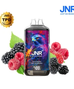 JNR Falcon X Plus 28000 Puffs (opakowanie 10 sztuk)