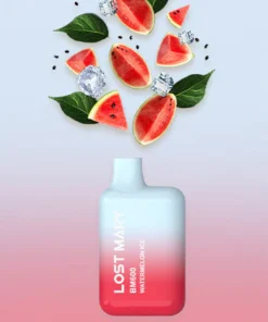 Lost Mary BM600 Puffs Jednorazowe opakowanie Vape 10 sztuk