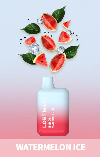 Lost Mary BM600 Puffs Jednorazowe opakowanie Vape 10 sztuk