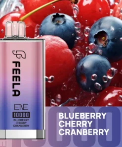 Elux Feela ENE 10000 Puffs Jednorazowy Vape (opakowanie 10 sztuk)